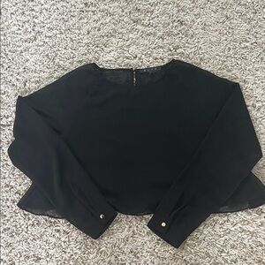 BLVD Sheer Black Long Sleeve Crop Top
